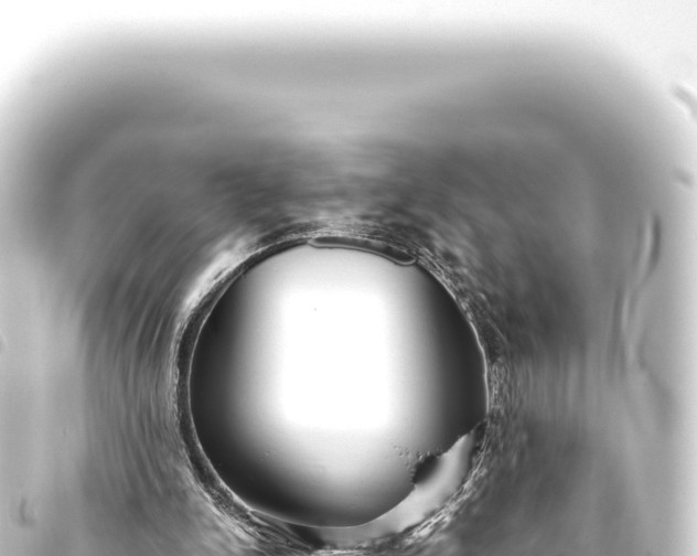 X0000093770150200710301212