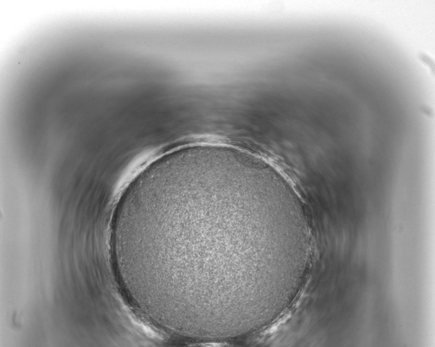 X0000093770151200710301212