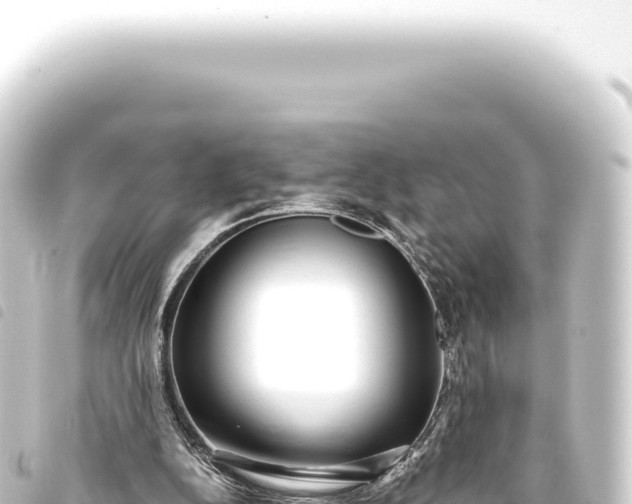 X0000093770152200710301212