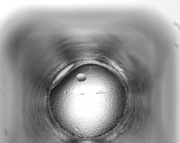 X0000093770153200710301212