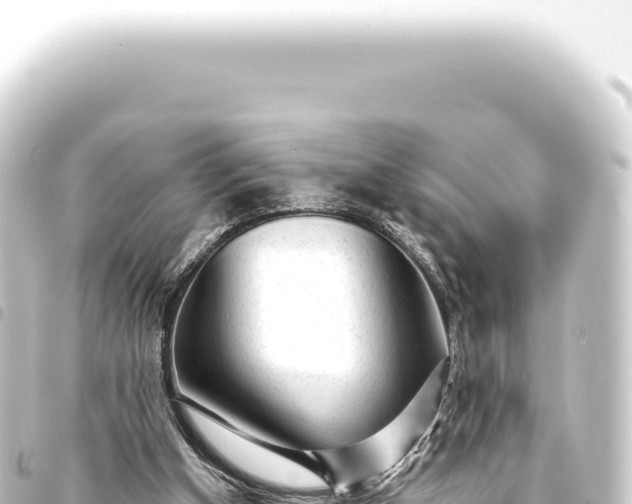 X0000093770154200710301212