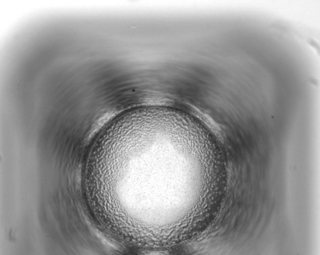 X0000093770155200710301212