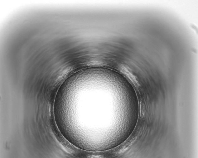 X0000093770157200710301212