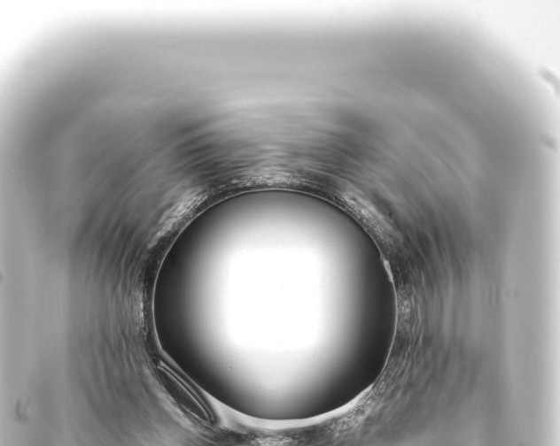 X0000093770158200710301212