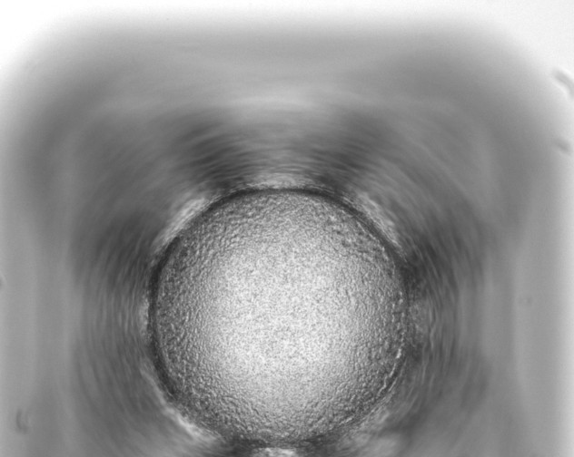 X0000093770159200710301212