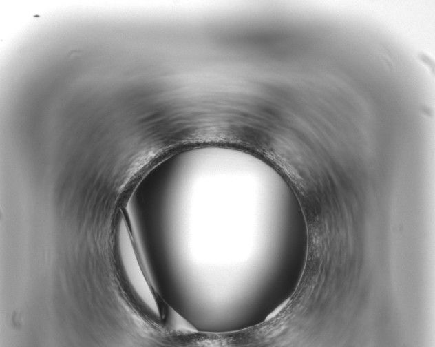 X0000093770160200710301212