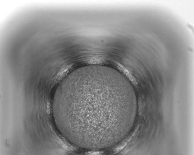 X0000093770161200710301212