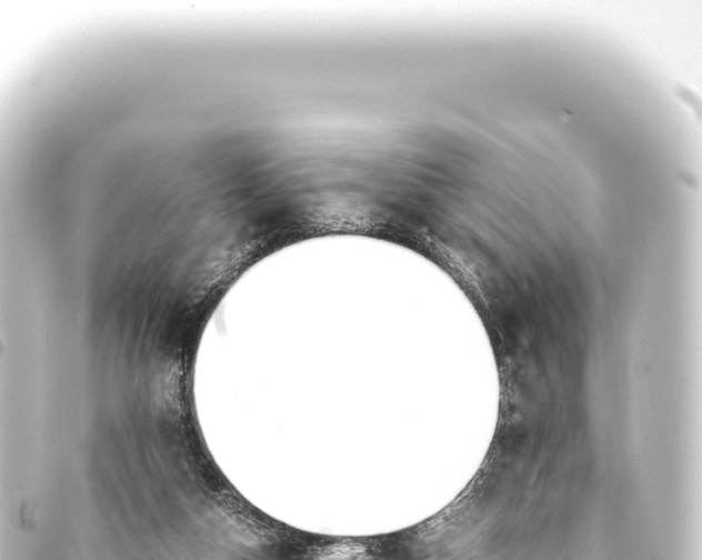 X0000093770162200710301212