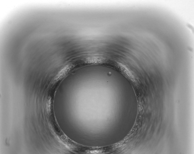 X0000093770163200710301212