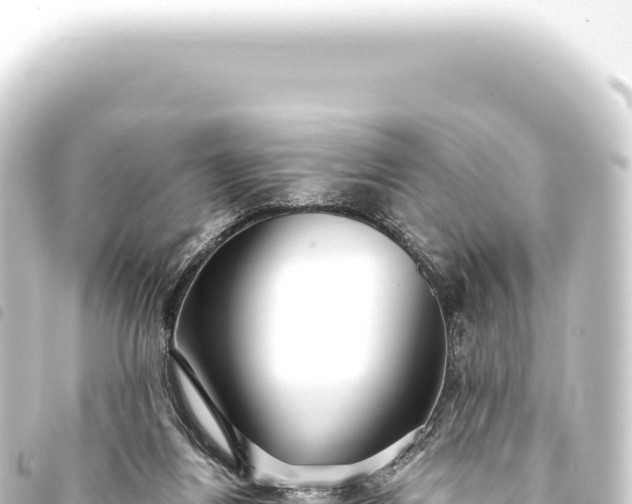 X0000093770164200710301212