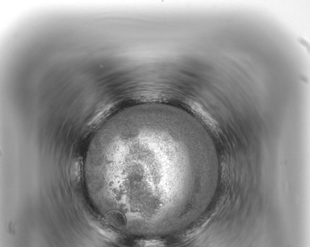 X0000093770165200710301212