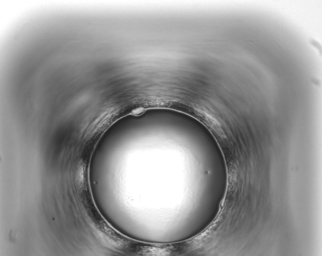 X0000093770166200710301212