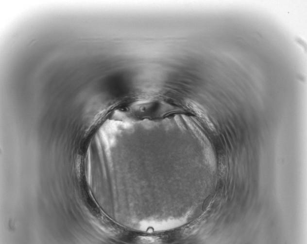 X0000093770167200710301212