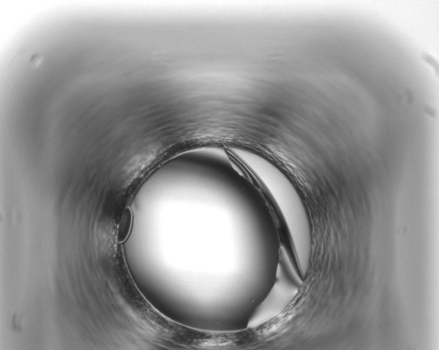 X0000093770168200710301212