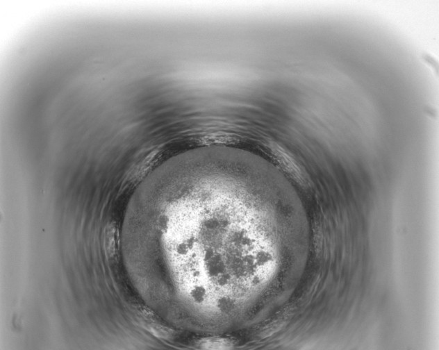 X0000093770169200710301212