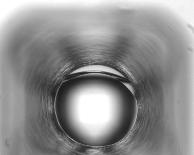 X0000093770170200710301212