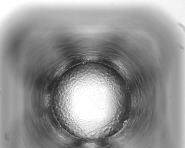 X0000093770171200710301212