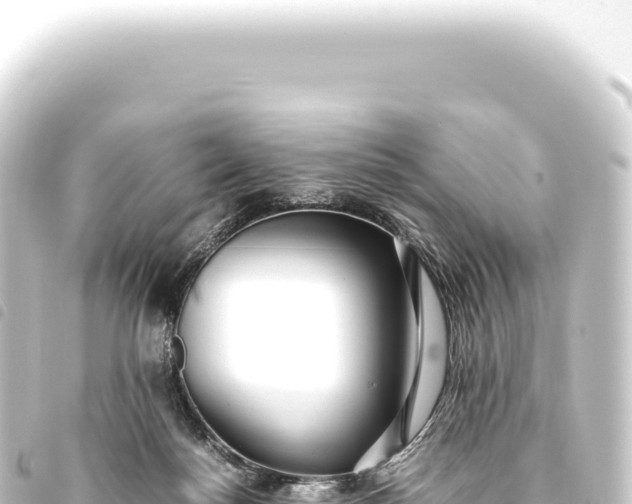 X0000093770172200710301212