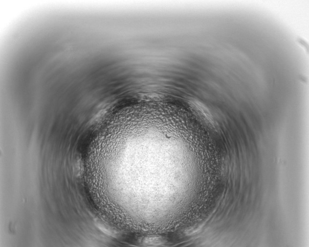 X0000093770173200710301212