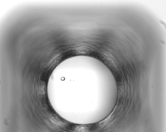 X0000093770174200710301212