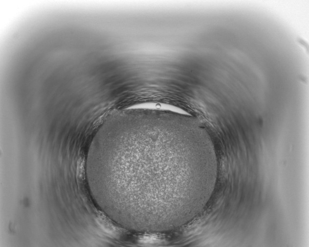 X0000093770177200710301212