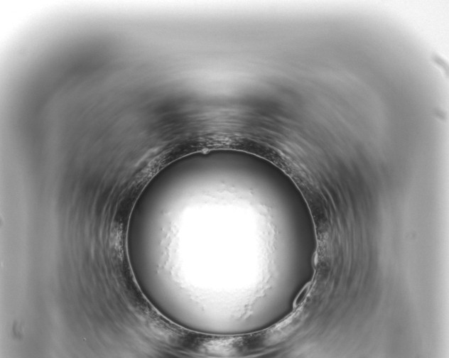 X0000093770178200710301213