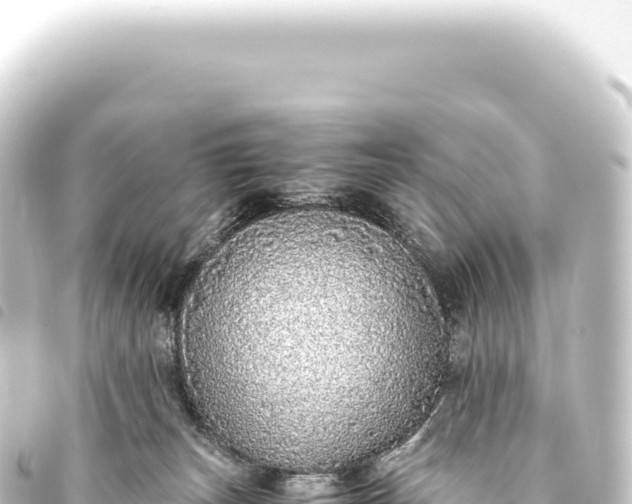 X0000093770179200710301213