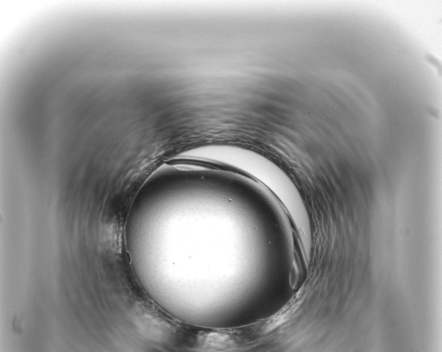 X0000093770180200710301213