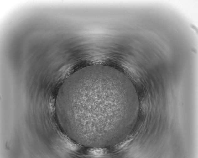 X0000093770181200710301213