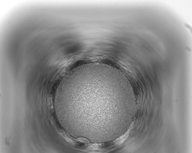 X0000093770182200710301213