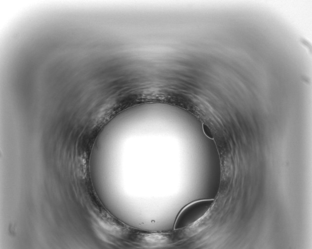 X0000093770183200710301213