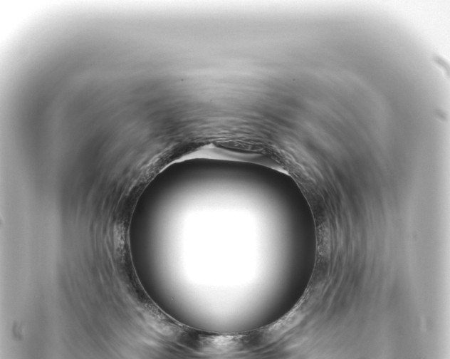 X0000093770184200710301213