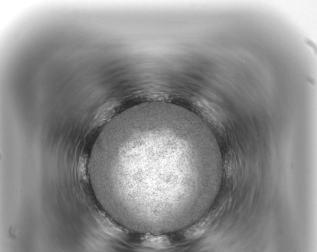 X0000093770185200710301213