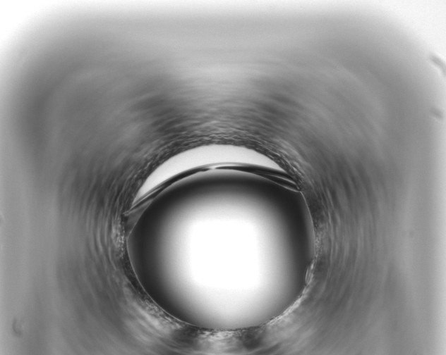 X0000093770186200710301213