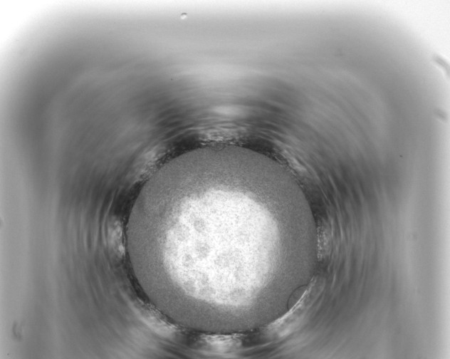 X0000093770187200710301213