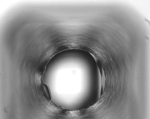 X0000093770188200710301213