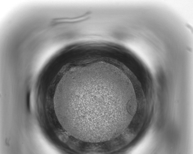 X0000093770189200710301213