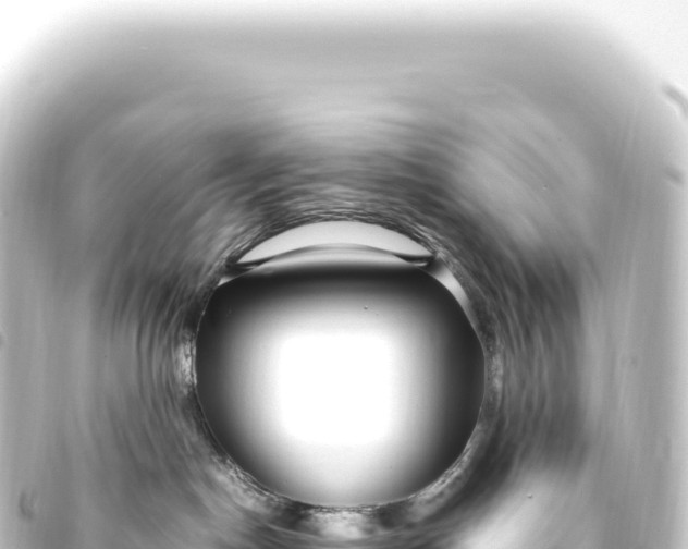 X0000093770190200710301213