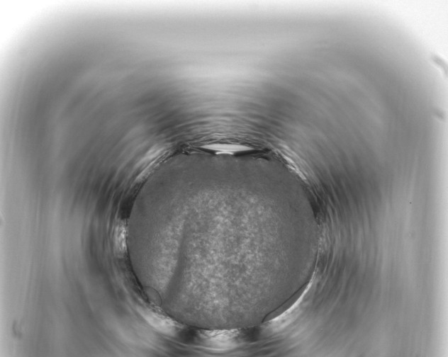 X0000093770191200710301213