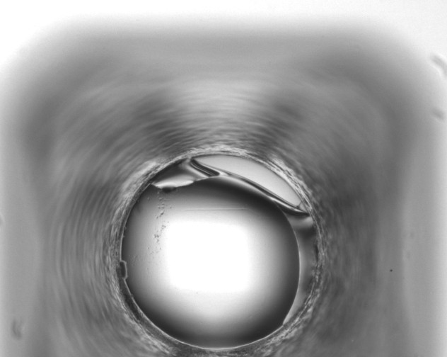 X0000093770193200710301212