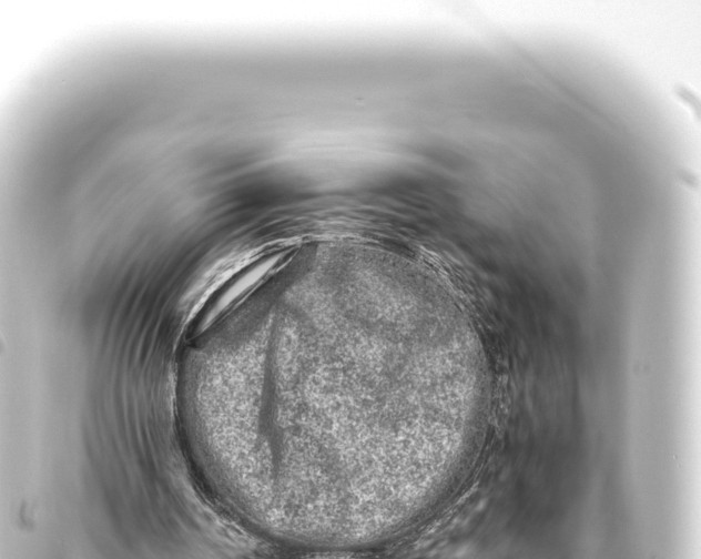 X0000093770194200710301212