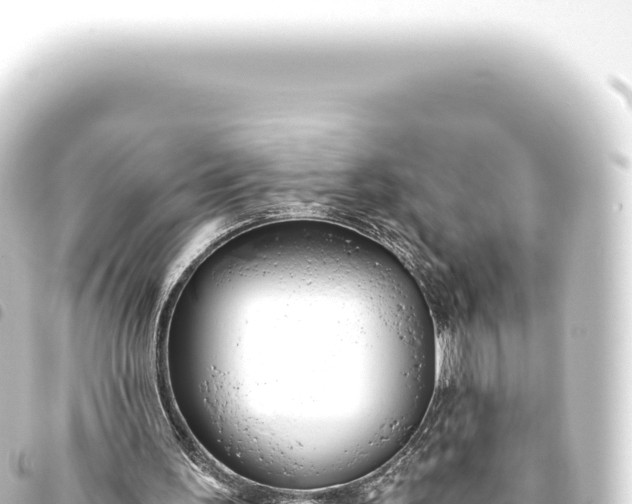 X0000093770195200710301212