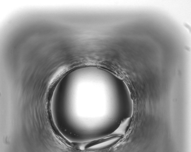 X0000093770197200710301212