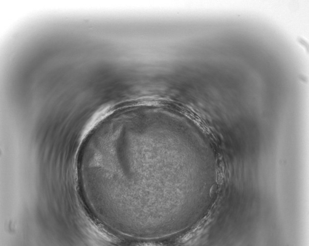 X0000093770198200710301212