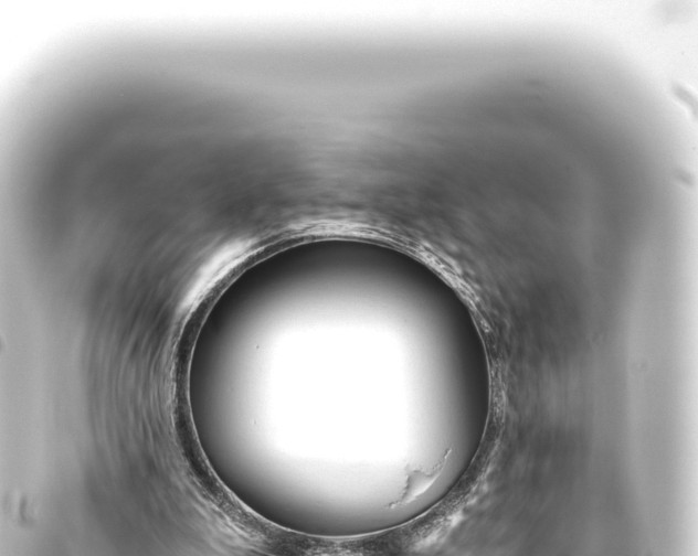 X0000093770199200710301212