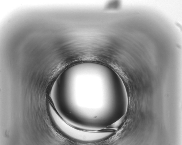 X0000093770201200710301212