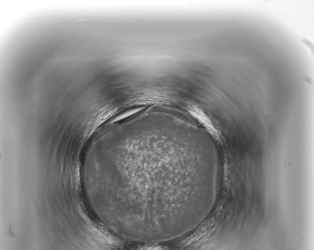 X0000093770202200710301212