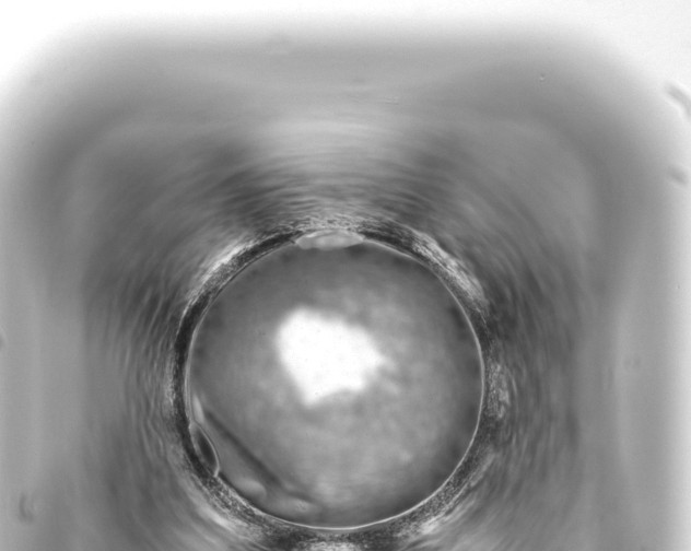 X0000093770203200710301212