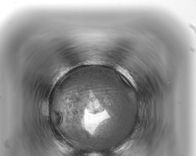 X0000093770204200710301212