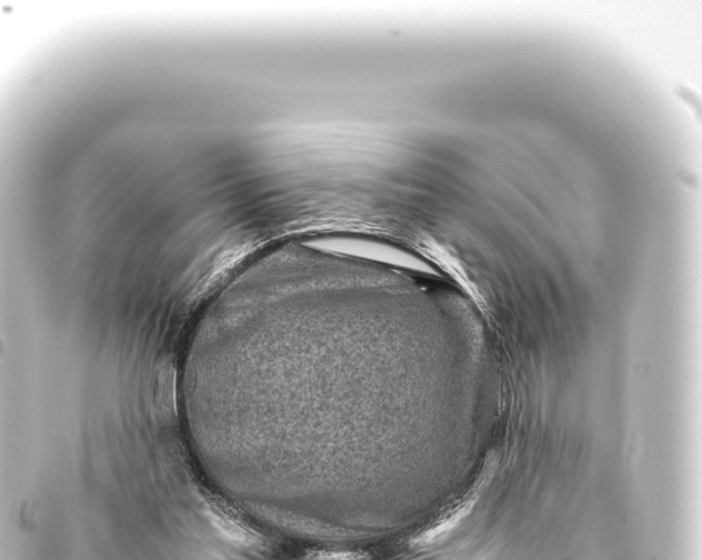 X0000093770205200710301212